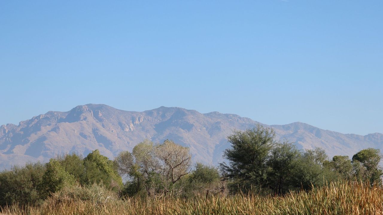 Tucson
